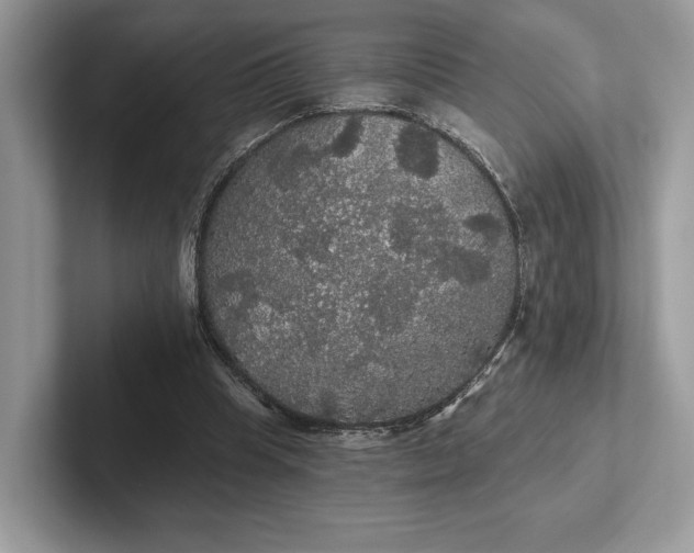 X0000101450345200807211317