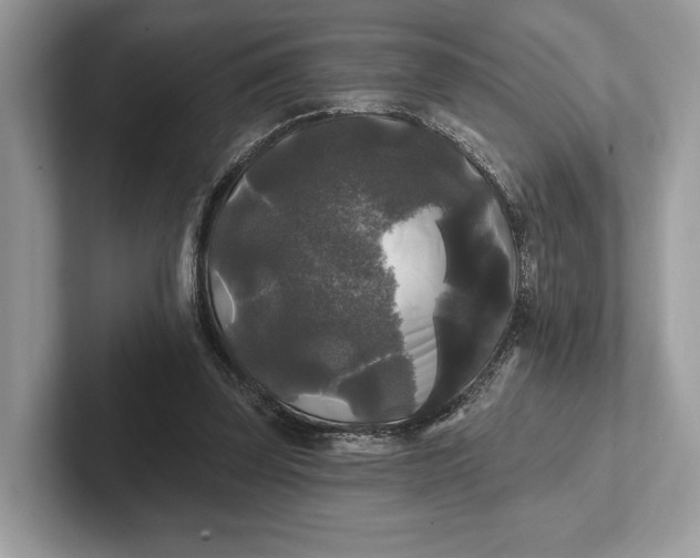 X0000101450347200807211317