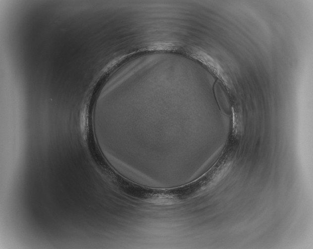 X0000101450348200807211317