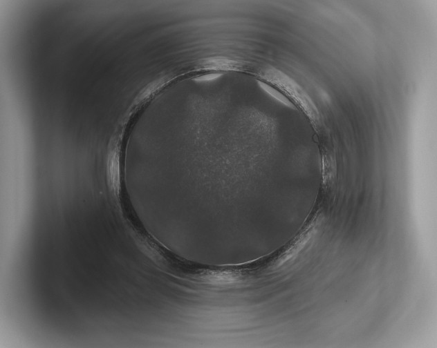 X0000101450349200807211317