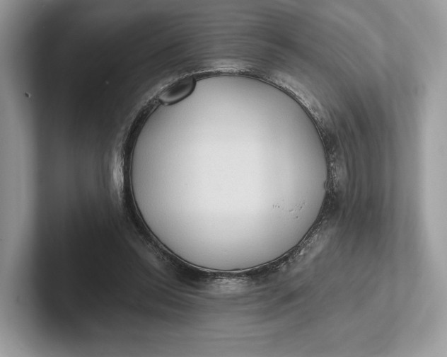 X0000101450350200807211317