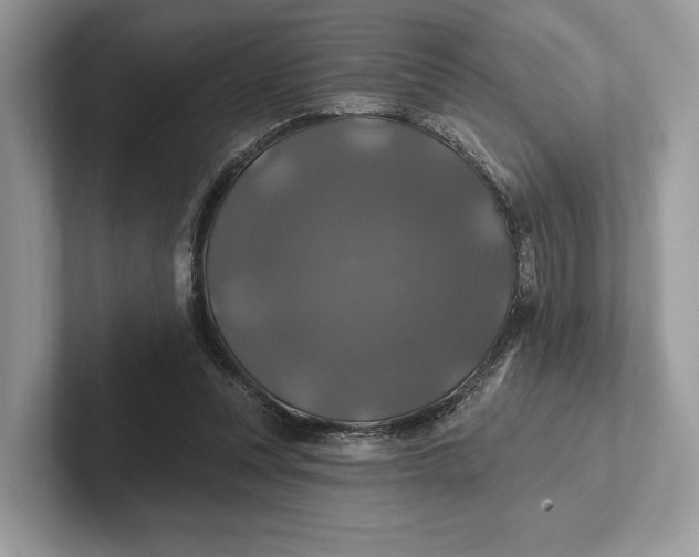 X0000101450351200807211317