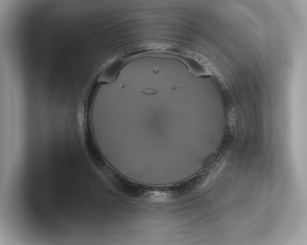 X0000101450352200807211317