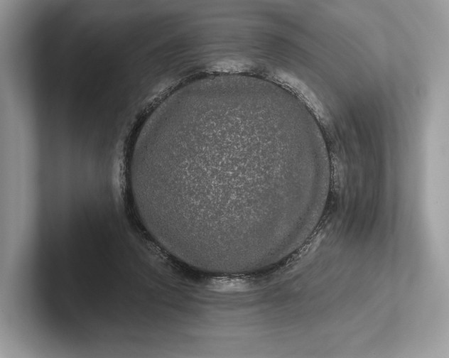 X0000101450354200807211317