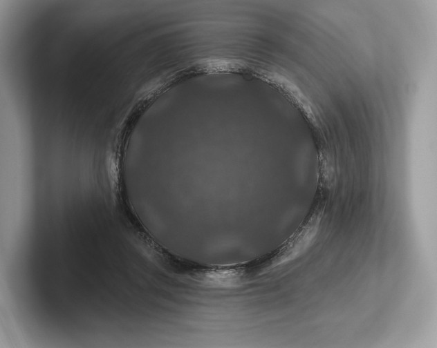 X0000101450357200807211317