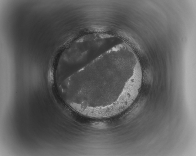 X0000101450358200807211317