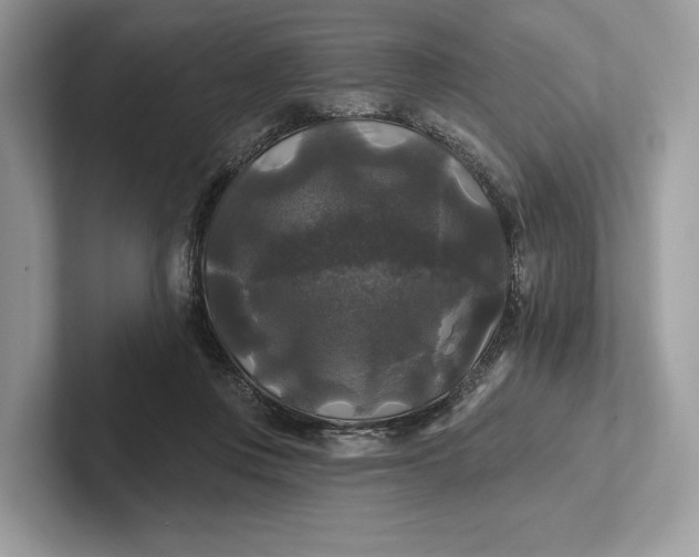 X0000101450359200807211317