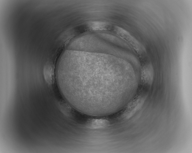 X0000101450360200807211317