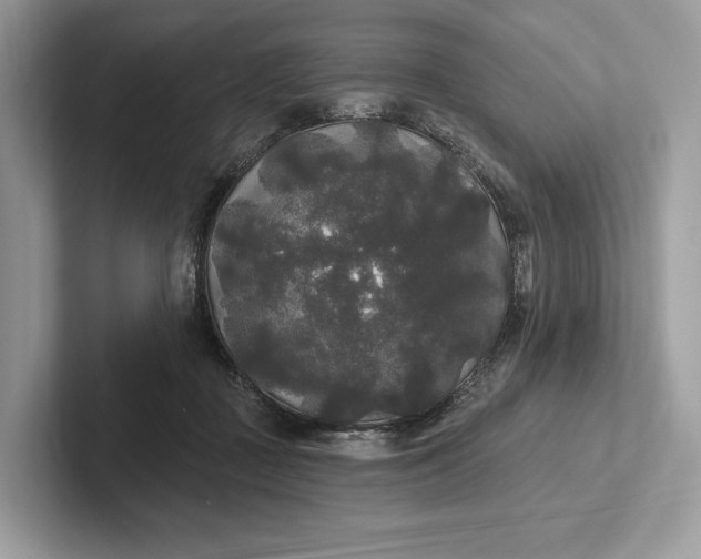 X0000101450363200807211317