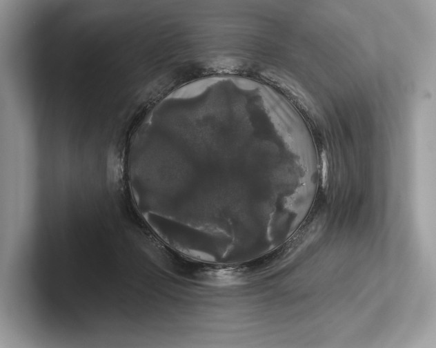 X0000101450365200807211317