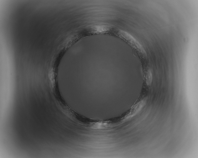 X0000101450366200807211317