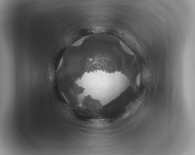 X0000101450367200807211317