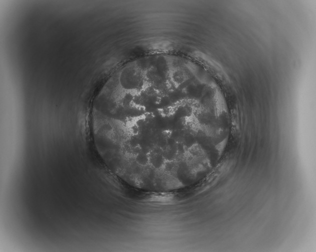 X0000101450369200807211317