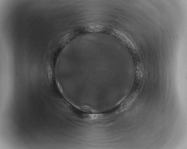 X0000101450371200807211317