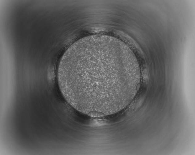 X0000101450372200807211317