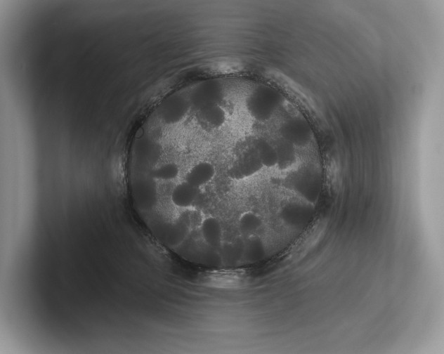 X0000101450373200807211318