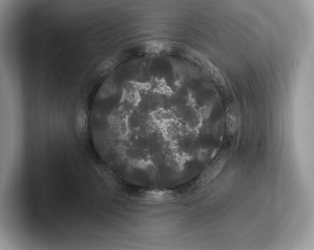 X0000101450375200807211318