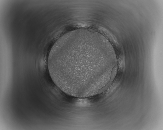 X0000101450376200807211318