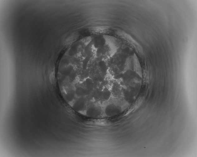 X0000101450377200807211318