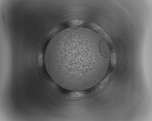 X0000101450378200807211318