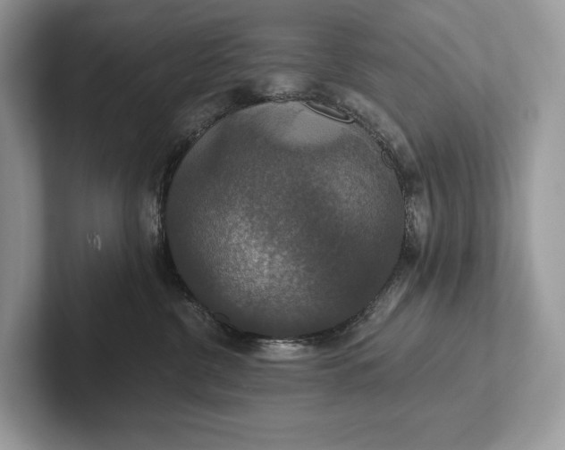 X0000101450380200807211318