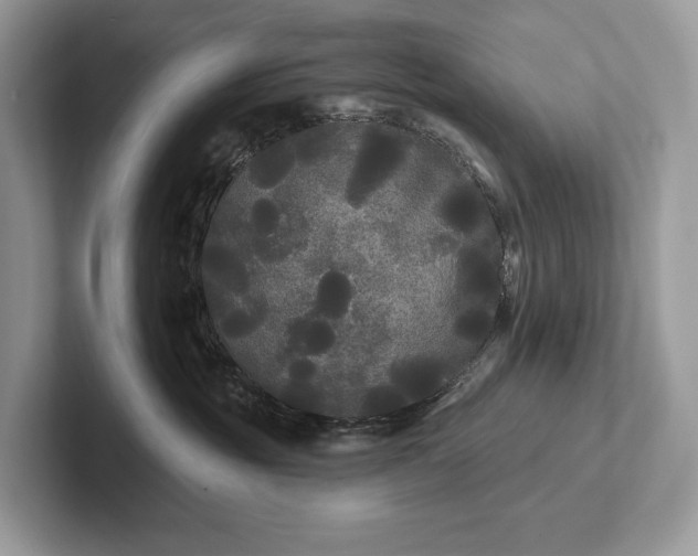 X0000101450381200807211318