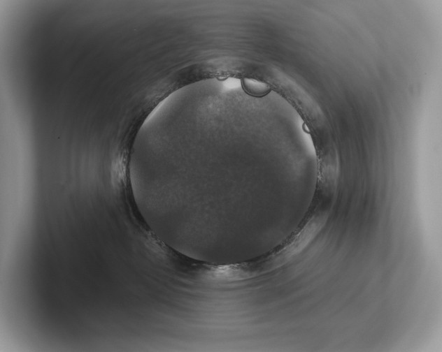 X0000101450382200807211318