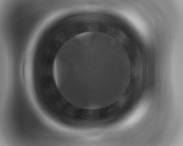 X0000101450383200807211318