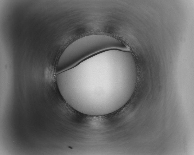 X0000101450384200807211318