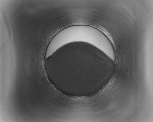 X0000101450385200807211317