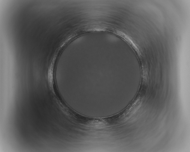 X0000101450386200807211317