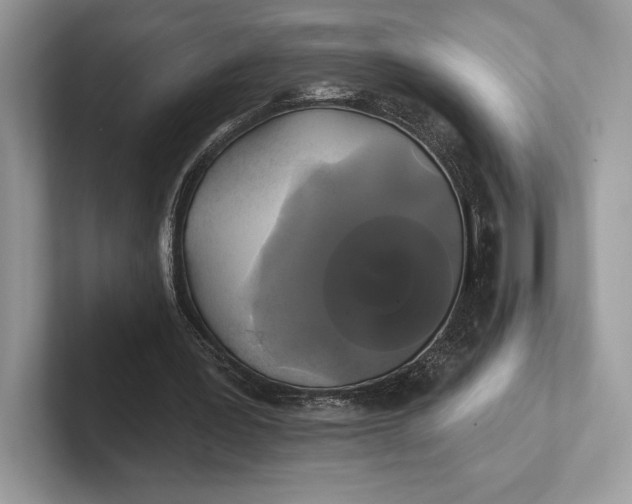 X0000101450387200807211317