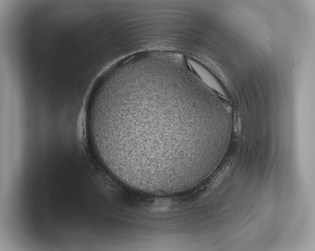 X0000101450388200807211317