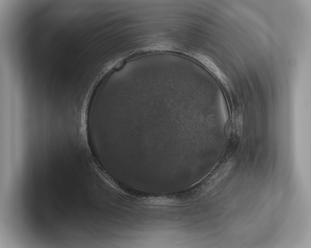 X0000101450389200807211317