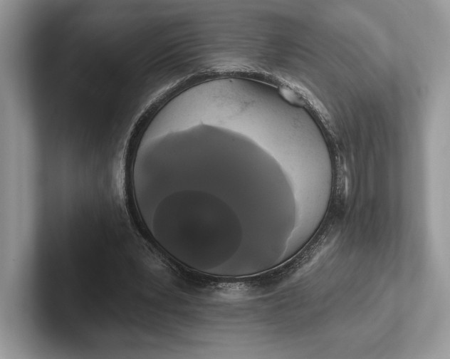 X0000101450391200807211317