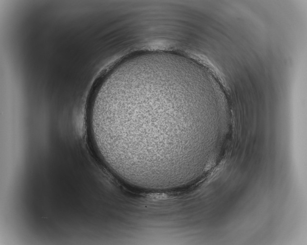 X0000101450392200807211317