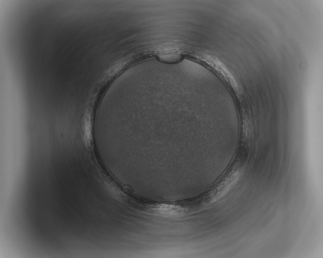 X0000101450393200807211317