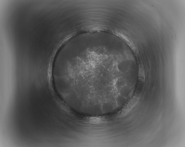 X0000101450394200807211317