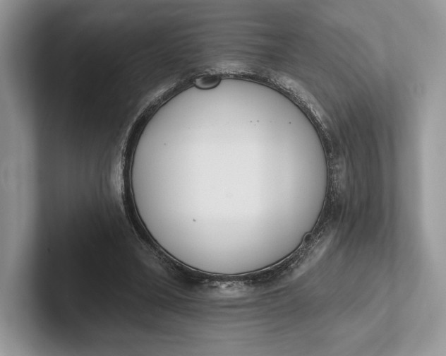 X0000101450395200807211317