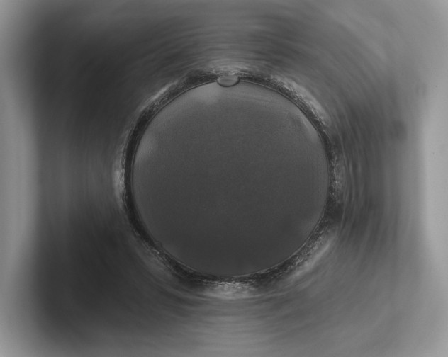 X0000101450399200807211317