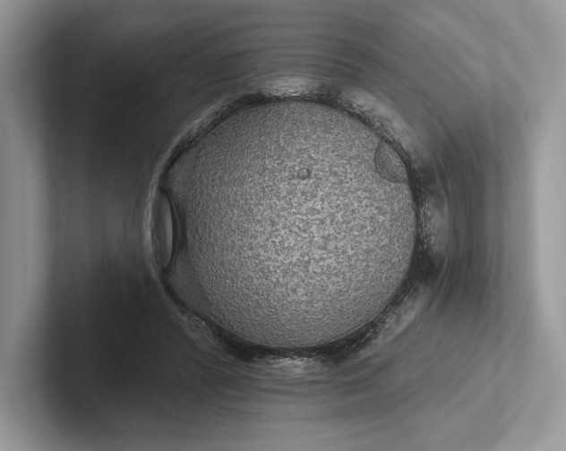 X0000101450400200807211317