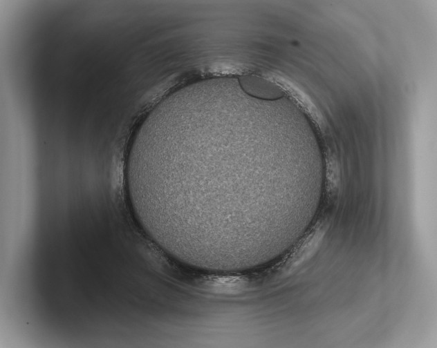 X0000101450401200807211317