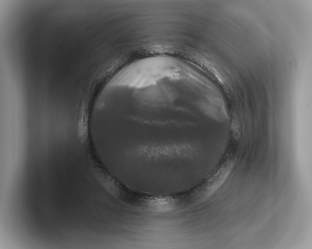 X0000101450402200807211317