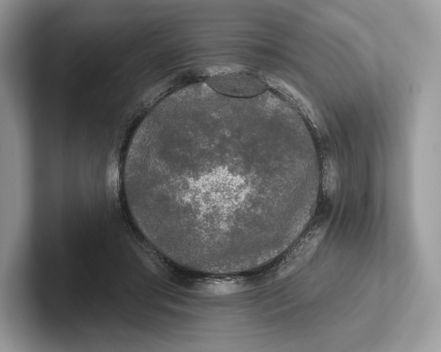 X0000101450405200807211317