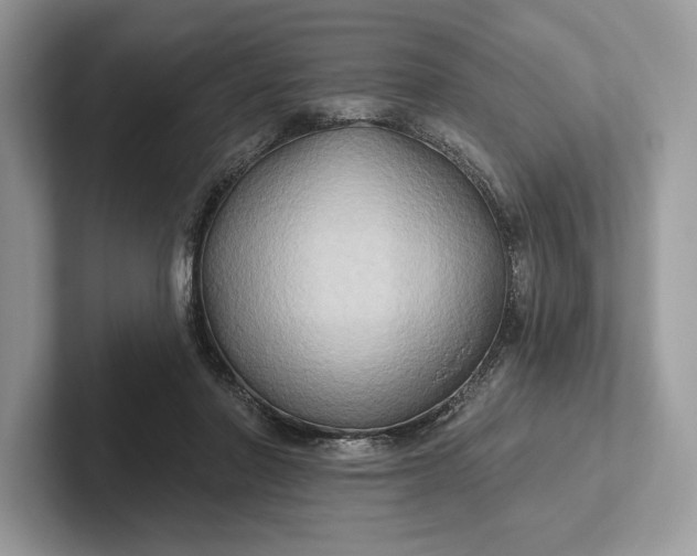 X0000101450406200807211317