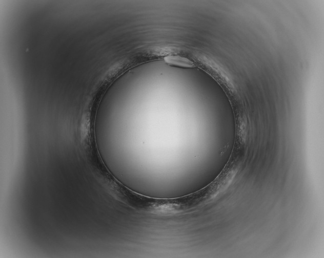 X0000101450407200807211317