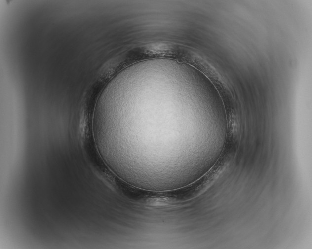 X0000101450408200807211317