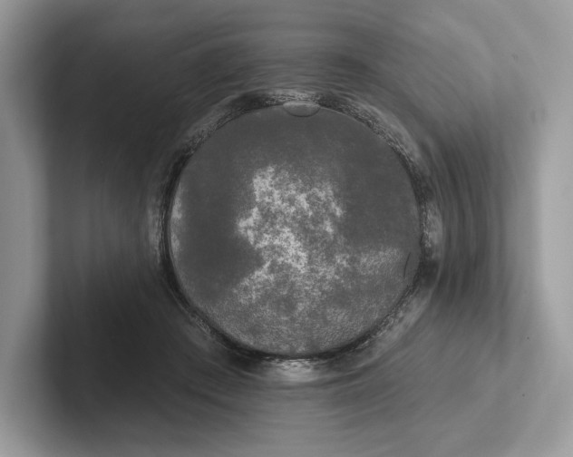 X0000101450409200807211317