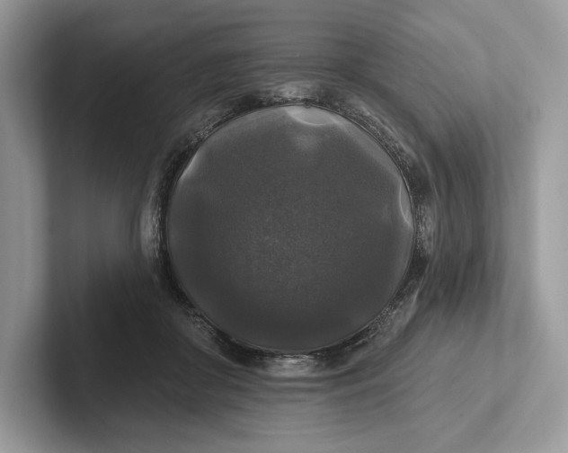 X0000101450410200807211317