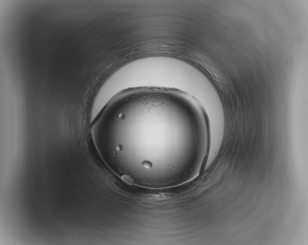 X0000101450411200807211317